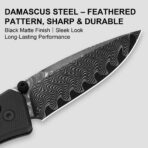 Kizer Aegis Kizer Clutch Lock Damascus G10 - Image 6