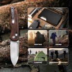 Kizer Drop Bear Clutch Lock Nitro-V RoseWood Handle - Image 6